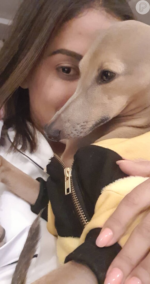Cachorro de Anitta, Plínio foi premiado como 'Pet do Ano' no MTV MIAW 2019