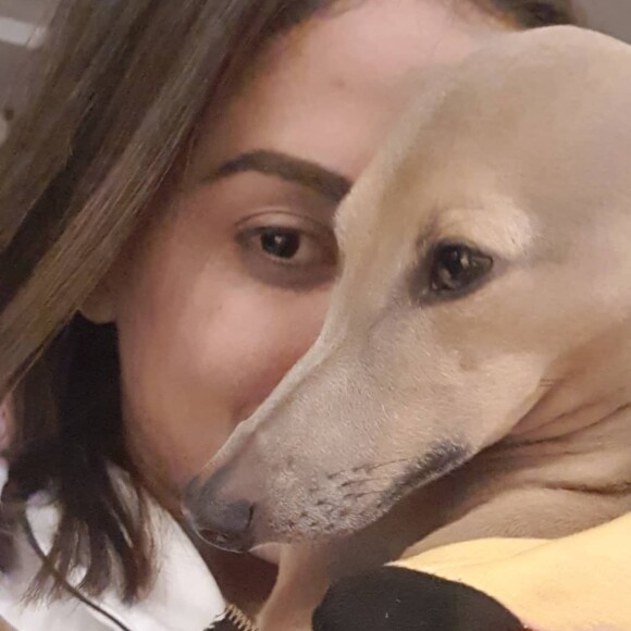 Cachorro de Anitta, Plínio foi premiado como 'Pet do Ano' no MTV MIAW 2019