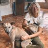Giovanna Ewbank chamou atenção em foto por exibir recuperação da pet