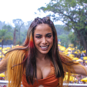 Anitta fez homenagem ao Mico Leão Dourado com seu look