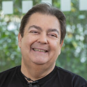 Fausto Silva definiu sua saída da TV Globo