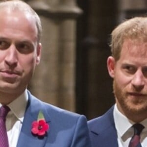 Príncipe William e Harry brigaram durante funeral do avô em abril. 'Coisas dolorosas foram ditas', diz biógrafo especializado na Família Real