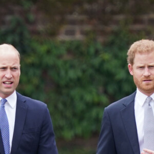 Harry e William tiveram primeiro evento oficial solo dos dois em homenagem à mãe, Princesa Diana