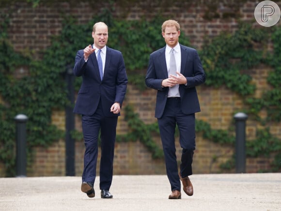 Harry e William tiveram primeiro evento oficial solo dos dois em homenagem à mãe, Princesa Diana