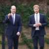 Príncipes Harry e William selam 'trégua' sugerida por Kate Middleton ao homenagear Lady Di. Entenda!