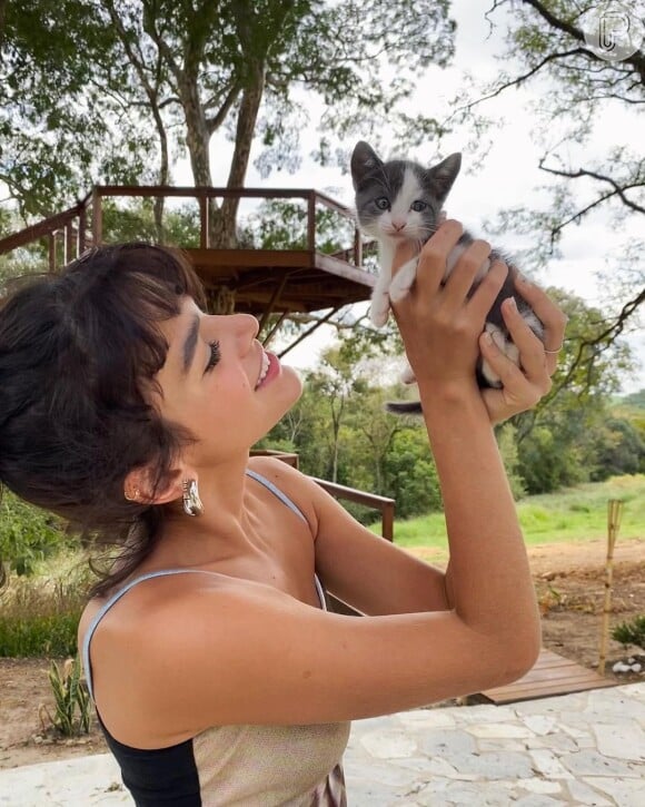Enzo Celulari posta foto com pets e fãs sentem falta de Mia, a gata que adotou com Bruna Marquezine