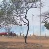Biah Rodrigues relata desespero ao ver fumaça de incêndio em pasto