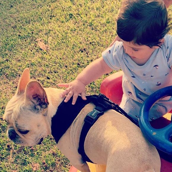 Sthefany Brito é apaixonada por seus cachorros