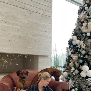 Natal 2021: Ana Hickmann, que posou com o filho ao lado da árvore de Natal, também fez fotos com os cachorros