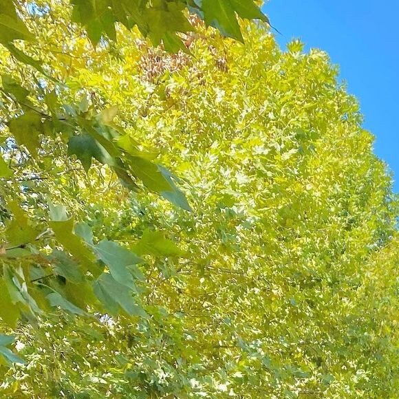 No podcast, Karina Bacchi falou sobre sua conversão cristã e como sempre se viu 'protegida' por Deus