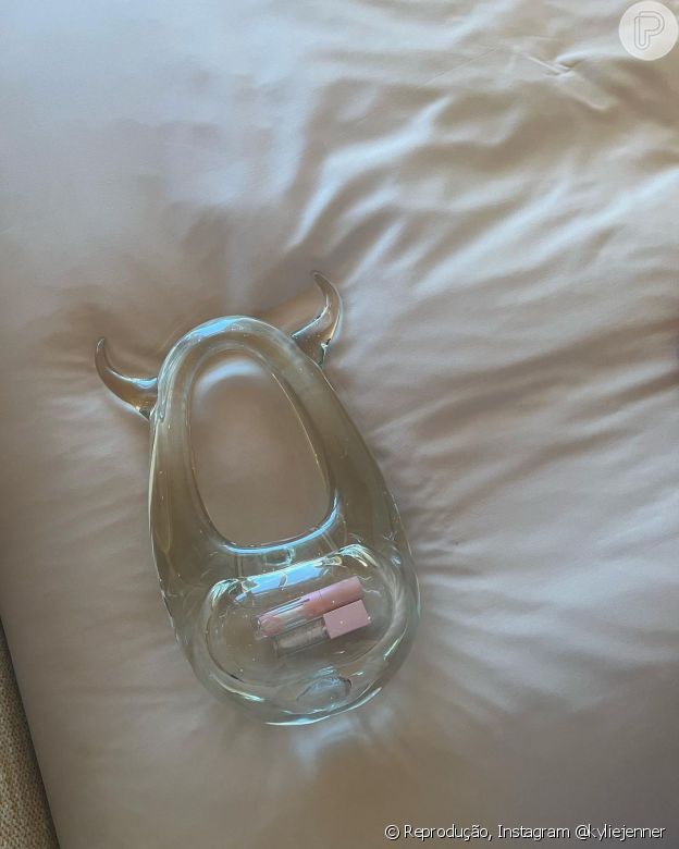 Bolsa de vidro Coperni é transparente e deixa à mostra tudo o que cabe nela