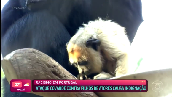 No 'Mais Você', imagens de macacos foram exibidas enquanto o programa discutia o racismo sofrido pelos filhos de Giovanna Ewbank e Bruno Gagliasso