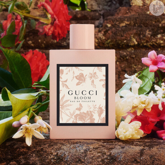 O perfume Gucci Bloom Eau de Parfum combina notas olfativas de tuberosa natural e jasmim 