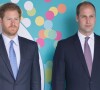 Treta na família real? Documentário revela desentendimento entre o príncipe William e Harry
 