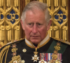 O principal motivo da mudança era garantir ao público uma melhor visão do novo Rei Charles III