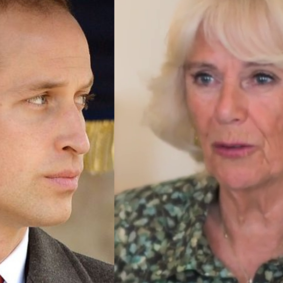 Detalhes da relação da rainha consorte Camilla com o enteado Príncipe William vêm à tona