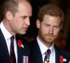 Príncipe Harry narra que teria nascido para socorrer algum eventual problema de saúde do irmão, Príncipe William