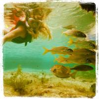 Carolina Dieckmann nada com peixinhos e publica foto no Instagram