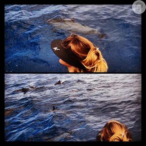 Carolina Dieckmann admira os golfinhos em Fernando de Noronha