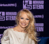 Pamela Anderson descobriu traição do namorado graças ao órgão genital dele