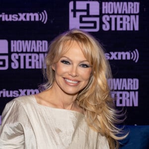 Pamela Anderson descobriu traição do namorado graças ao órgão genital dele