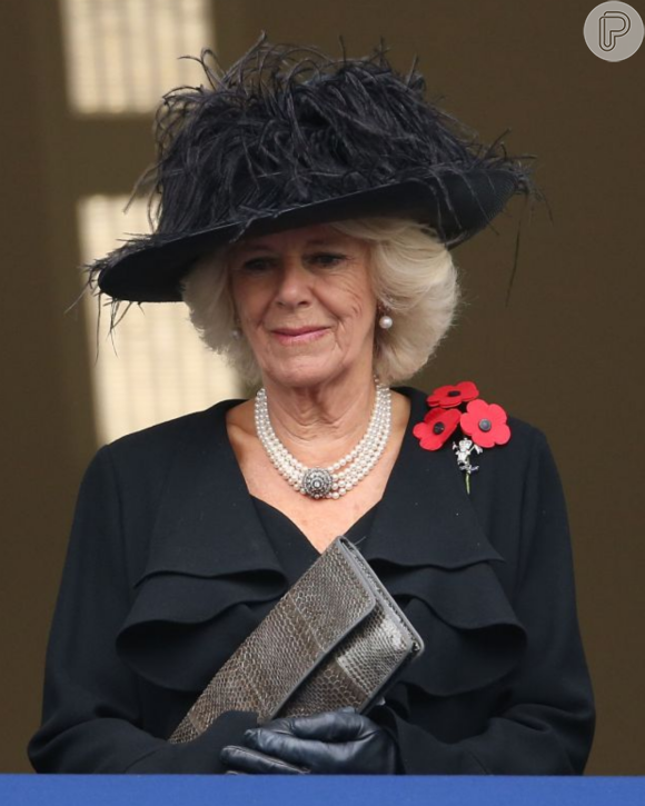 Camilla Parker Bowles sempre levantou insinuações a respeito do caráter de Meghan, segundo o especialista real