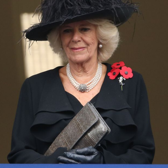 Camilla Parker Bowles sempre levantou insinuações a respeito do caráter de Meghan, segundo o especialista real