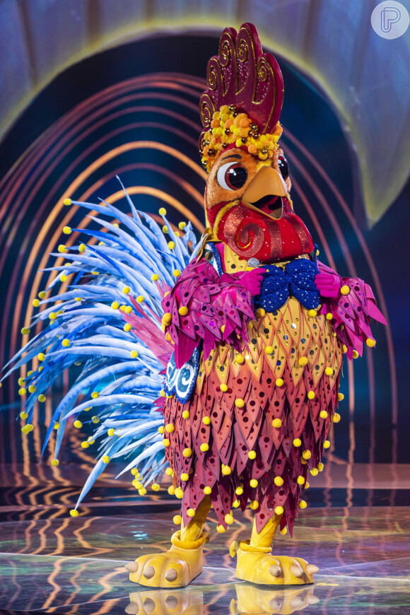 Galo é um dos participantes do 'The Masked Singer Brasil 3'