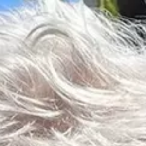 Shakira: 'Fiquei sabendo pela imprensa que fui traída enquanto meu pai estava na UTI. Achei que não sobreviveria tanto tempo'