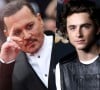 O que Johnny Depp e Timothée Chalamet têm em comum? 'Wonka'