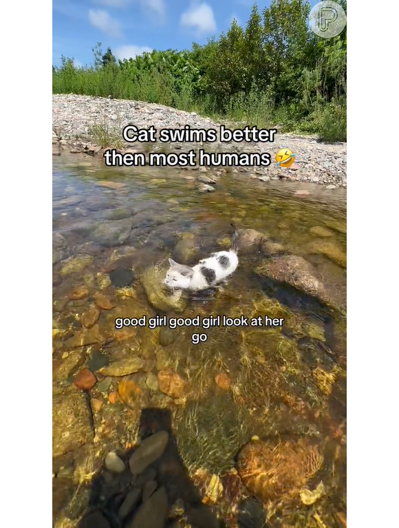 Em vídeo de gata nadando, podemos ouvir o seu dono, Ryan, empolgado com as habilidades da bichana