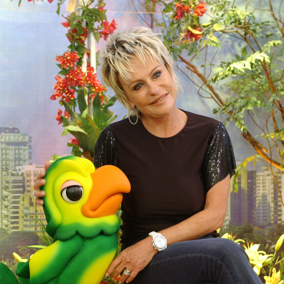 Ana Maria Braga aposentada? Rumor indicou que comunicadora deixaria a TV em 2024