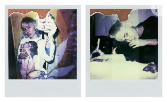 Miley Cyrus também posou para fotos com um cachorro