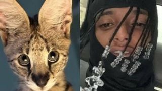 Gato mais caro do mundo: novo bichinho de estimação de MC Oruam rouba a cena por preço. Aos detalhes!