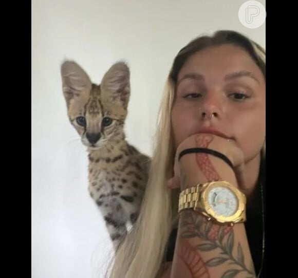 MC Oruam e a namorada, Fernanda Lavença, estão criando um gato da raça Savannah F1