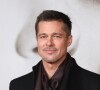 Diretor entregou que Brad Pitt recusou participar do filme 'O Segredo de Brokeback Mountain'