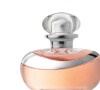 Perfume Lily Absolu, do Boticário, é produzido a partir do exclusivo Lírio Grasse, cultivado na França, que perfuma o cotidiano de mulheres delicadas, sem perder seu aroma intenso, sendo ótimo para um momento de lazer