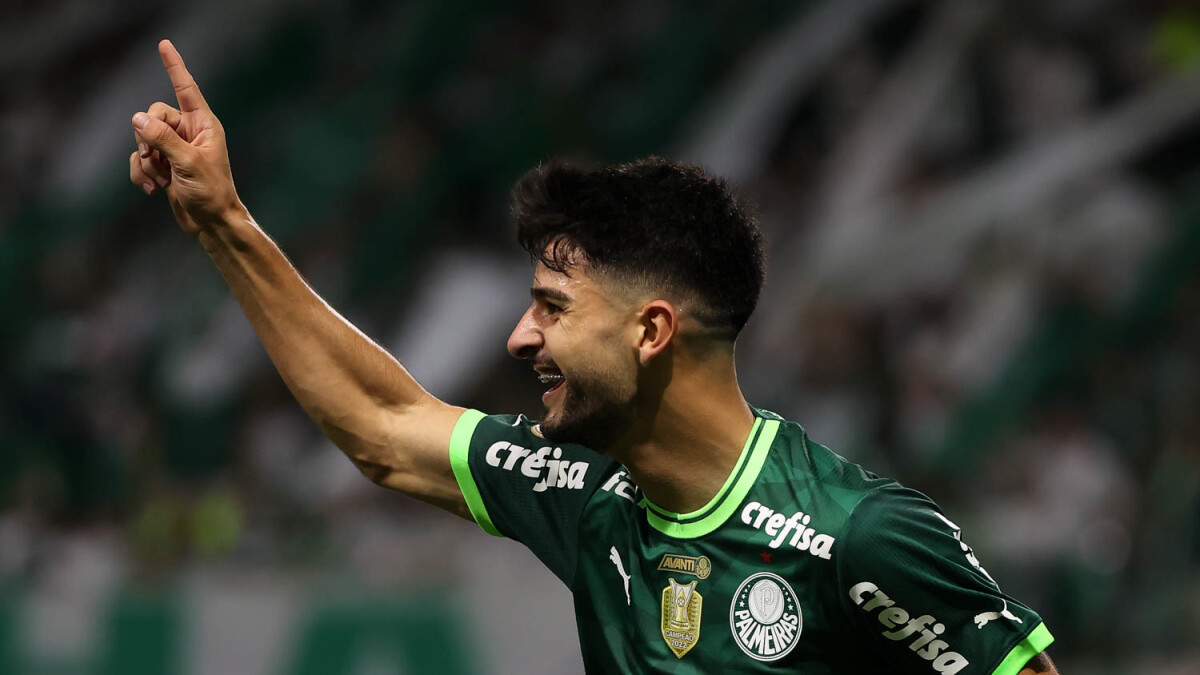 Palmeiras é campeão do Brasileirão 2023 após empate com Cruzeiro - TubaNews