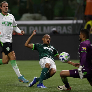 Palmeiras campeão brasileiro 2023: Palmeiras só perde título se perder de goleada histórica para o Cruzeiro e Atlético-MG ou Flamengo vençam por placares gigantes