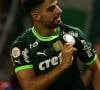 Palmeiras campeão brasileiro 2023: Palmeiras vai confirmar 12º título nacional, sendo um bicampeonato