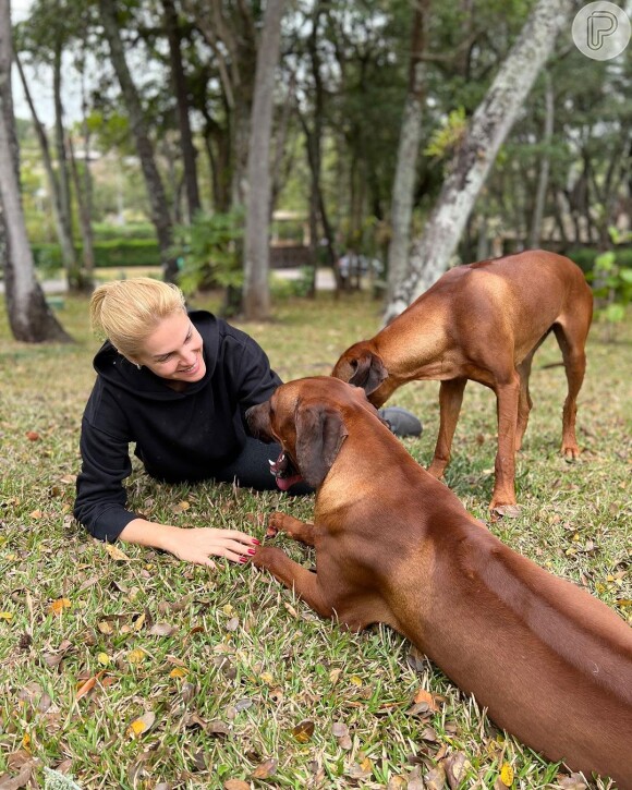 Ana Hickmann é apaixonada por cachorros