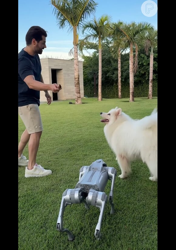 Alok acabou explicando que o cachorro-robô será usado em seus shows
