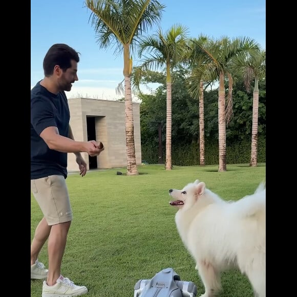 Alok acabou explicando que o cachorro-robô será usado em seus shows