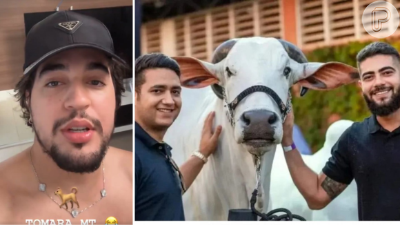 Bebedeira que acabou em 'sequestro'! Nattan revela DATA da vingança triunfal após Henrique e Juliano roubarem seus cachorros