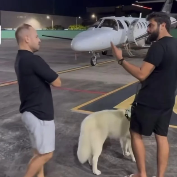 Bebedeira que acabou em 'sequestro'! Nattan revela DATA da vingança triunfal após Henrique e Juliano roubarem seus cachorros