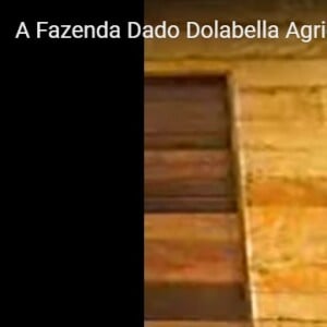 Dado Dolabella x Dani Souza: as imagens podem ser encontradas no YouTube e mostram o ator pedindo desculpas à modelo