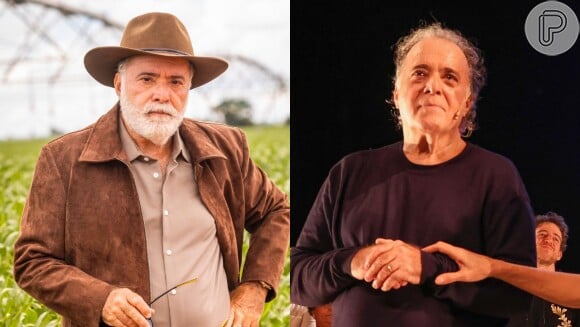 Tony Ramos em 'Terra e Paixão' e nos teatros: uma diferença gritante com barba e sem barba no icônico ator brasileiro