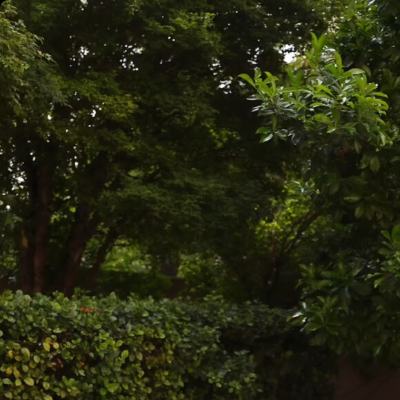 Ana Paula Siebert escolheu a mesma party planner dos 15 anos de Rafaella Justus para a festinha de Halloween