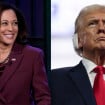 Donald Trump ou Kamala Harris? De Beyoncé e Taylor Swift a Elon Musk, veja em qual candidato famosos dos EUA já declararam voto