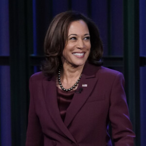 Kamala Harris, atual vice-presidente e do Partido Democrata, está na disputa.